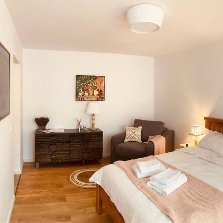 Warm And Cozy Studio Flat Near Straja Uricani  Buitenkant foto
