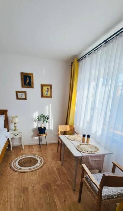 Warm And Cozy Studio Flat Near Straja Uricani  Buitenkant foto